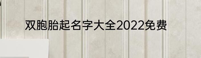 双胞胎起名字大全2022免费