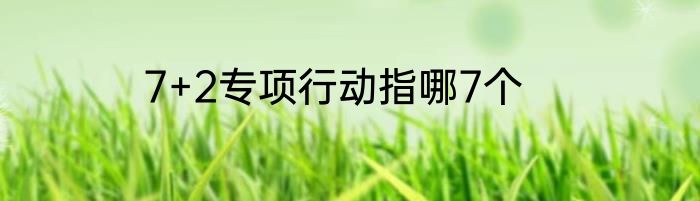 7+2专项行动指哪7个