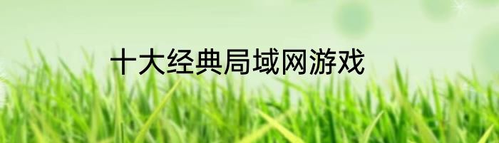 十大经典局域网游戏