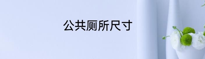 公共厕所尺寸