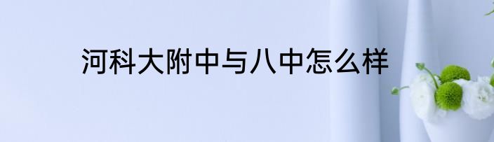 河科大附中与八中怎么样