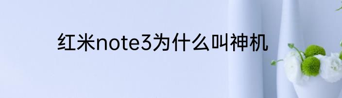红米note3为什么叫神机