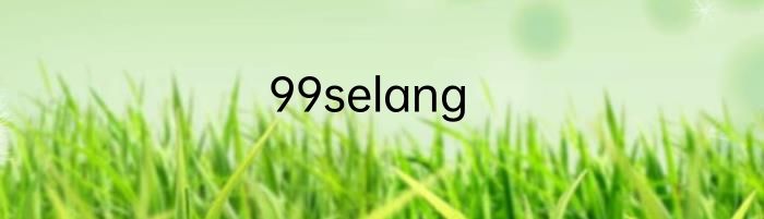 99selang