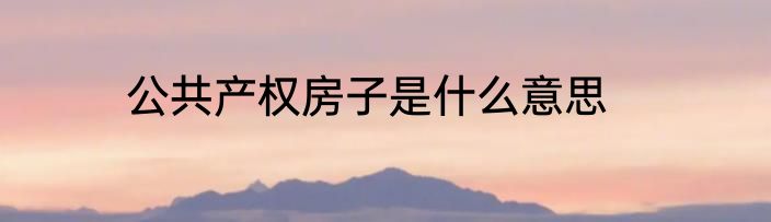 公共产权房子是什么意思