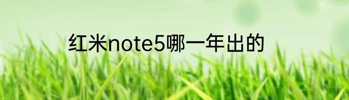 红米note5哪一年出的
