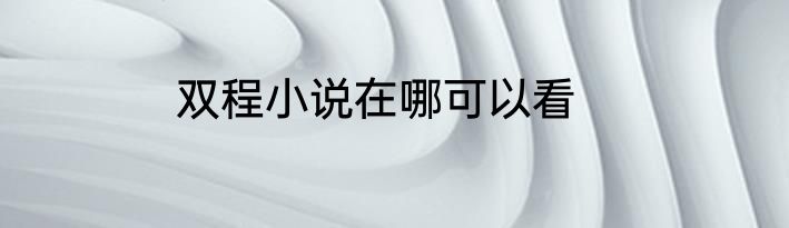 双程小说在哪可以看