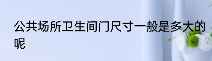 公共场所卫生间门尺寸一般是多大的呢