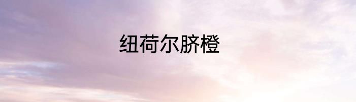 纽荷尔脐橙