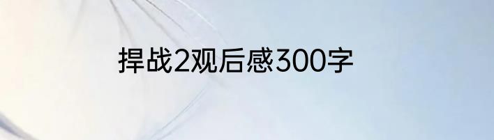 捍战2观后感300字