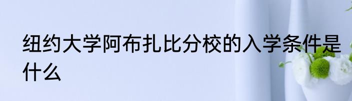 纽约大学阿布扎比分校的入学条件是什么