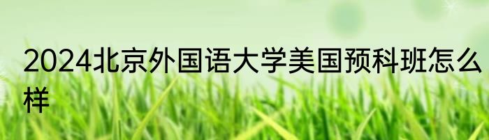 2024北京外国语大学美国预科班怎么样