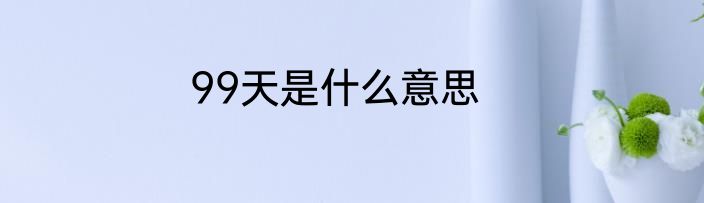 99天是什么意思