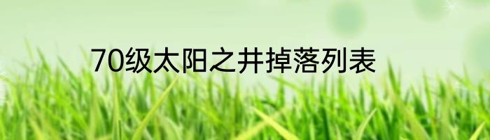 70级太阳之井掉落列表