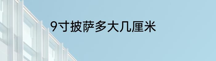9寸披萨多大几厘米