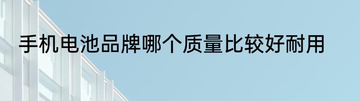 手机电池品牌哪个质量比较好耐用
