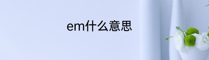 em什么意思