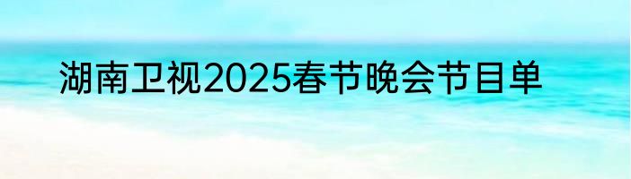 湖南卫视2025春节晚会节目单