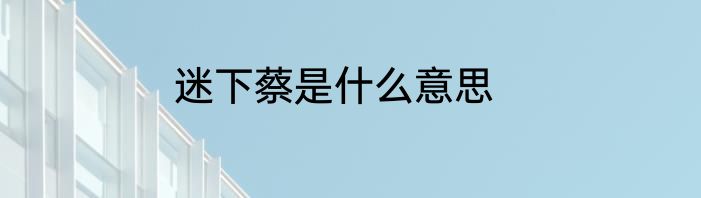 迷下蔡是什么意思