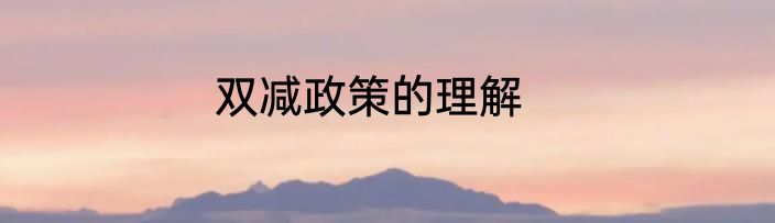双减政策的理解