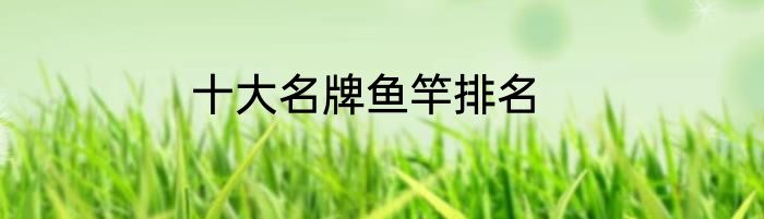 十大名牌鱼竿排名