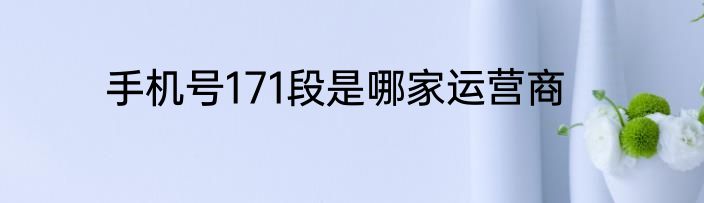 手机号171段是哪家运营商