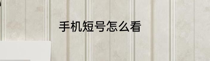 手机短号怎么看