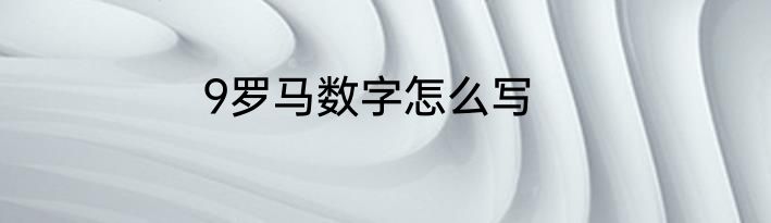 9罗马数字怎么写