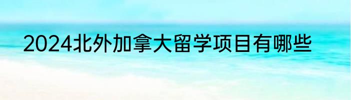 2024北外加拿大留学项目有哪些