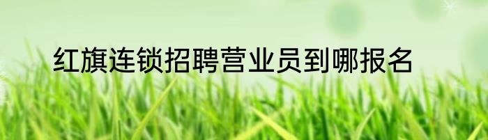 红旗连锁招聘营业员到哪报名