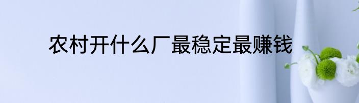 农村开什么厂最稳定最赚钱