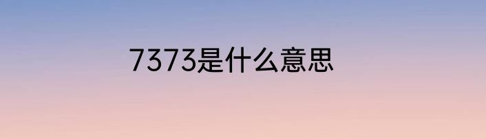 7373是什么意思
