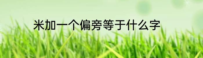 米加一个偏旁等于什么字