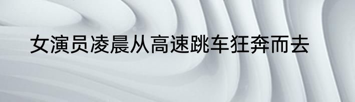 女演员凌晨从高速跳车狂奔而去