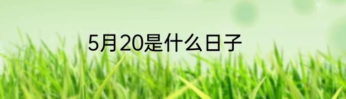 5月20是什么日子