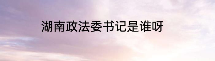 湖南政法委书记是谁呀