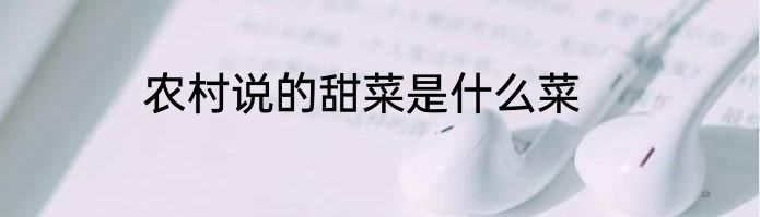 农村说的甜菜是什么菜