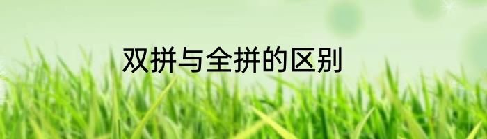 双拼与全拼的区别