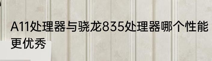 A11处理器与骁龙835处理器哪个性能更优秀