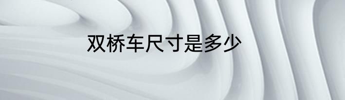双桥车尺寸是多少