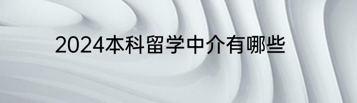 2024本科留学中介有哪些