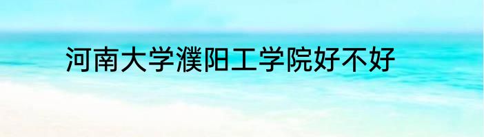 河南大学濮阳工学院好不好