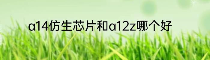 a14仿生芯片和a12z哪个好