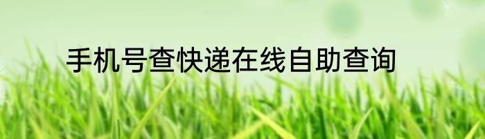手机号查快递在线自助查询