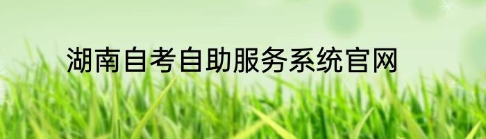 湖南自考自助服务系统官网