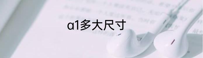 a1多大尺寸