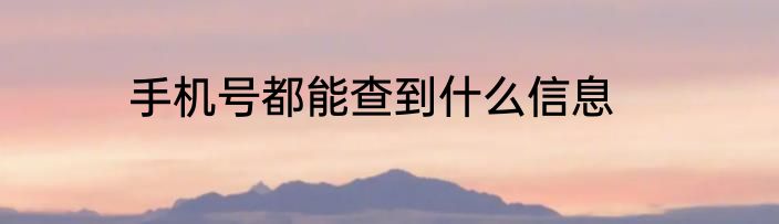 手机号都能查到什么信息