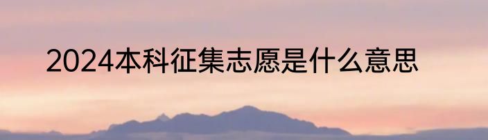 2024本科征集志愿是什么意思