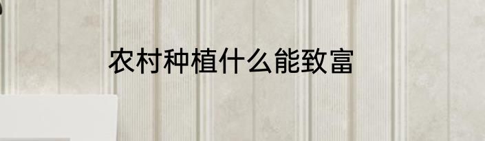 农村种植什么能致富