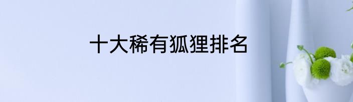 十大稀有狐狸排名