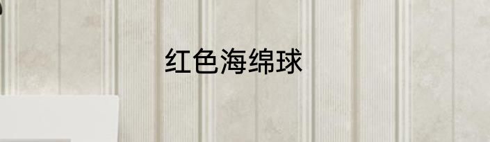 红色海绵球